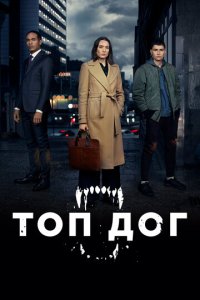 Топ дог 1-2 сезон (сериал, 2020)