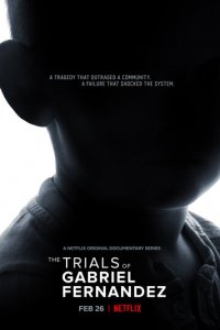 Кто убил Габриэля Фернандеса? 1 сезон (сериал, 2020)