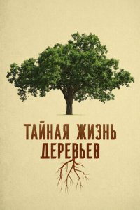 Деревья: гении мира природы (фильм, 2020)