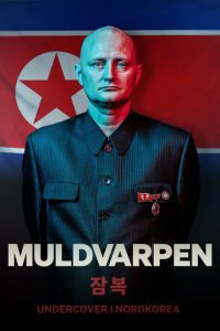Крот: Под прикрытием в Северной Корее (фильм, 2020)