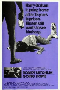 Иди домой (фильм, 1971)