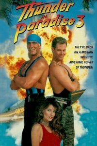 Гром в раю 3 (фильм, 1995)