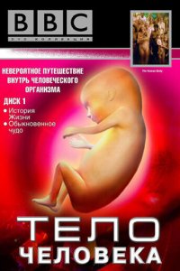 BBC: Тело человека 1 сезон (сериал, 1998)