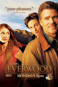 Любовь вдовца 1-4 сезон (сериал, 2002)