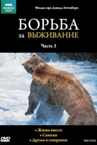 BBC: Борьба за выживание 1 сезон (сериал, 1990)