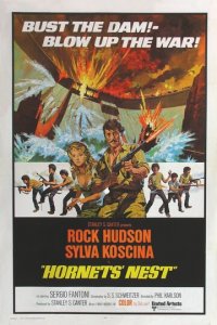 Гнездо шершней (фильм, 1970)