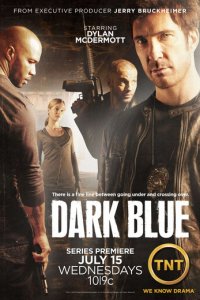 Под прикрытием 1-2 сезон (сериал, 2009)