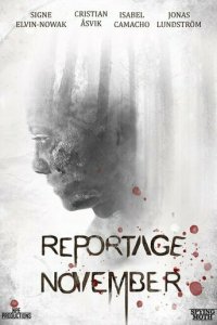 Ноябрьский репортаж (фильм, 2020)