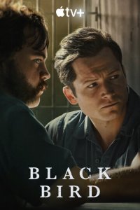Чёрная птица 1 сезон (сериал, 2022)