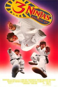 Три ниндзя: Костяшки вверх (фильм, 1993)