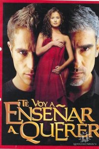 Я научу тебя любить 1 сезон (сериал, 2004)