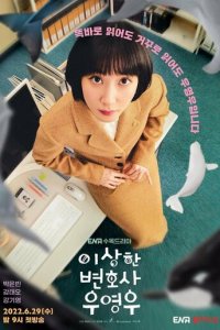 Необычный адвокат 1 сезон (сериал, 2022)