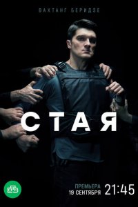 Стая 1 сезон (сериал, 2022)