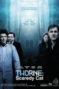 Торн: Пуганая ворона 1 сезон (сериал, 2010)