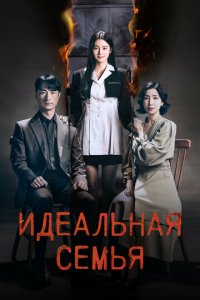 Идеальная семья 1 сезон (сериал, 2024)