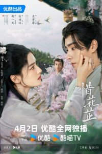 История Хуа Чжи 1 сезон (сериал, 2024)