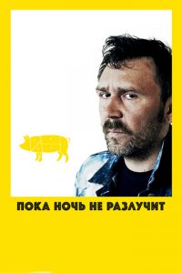 Пока ночь не разлучит (фильм, 2012)