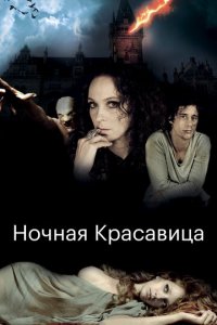 Ночная красавица (фильм, 2013)