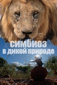 Симбиоз в дикой природе 1 сезон (сериал, 2023)
