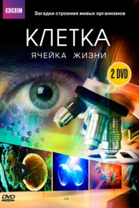BBC: Клетка 1 сезон (сериал, 2009)