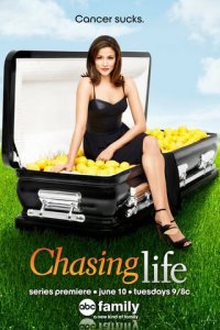 Погоня за жизнью 1-2 сезон (сериал, 2014)