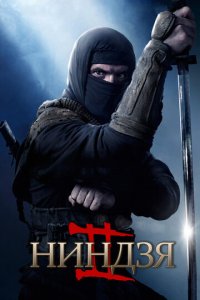 Ниндзя 2 (фильм, 2013)