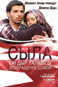 Сыла. Возвращение домой 1-3 сезон (сериал, 2006)
