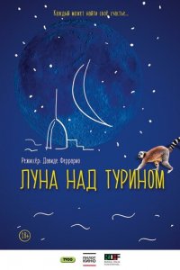 Луна над Турином (фильм, 2013)