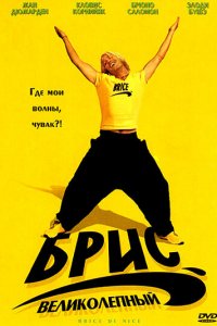 Брис Великолепный (фильм, 2005)