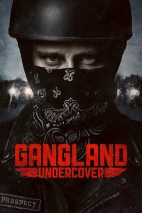 Под прикрытием 1-2 сезон (сериал, 2015)