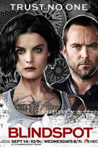 Слепая зона 1-5 сезон (сериал, 2015)