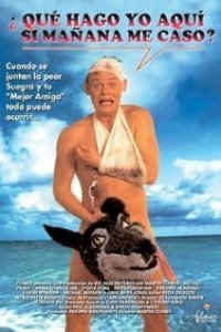 Особенности холостяцкой вечеринки (фильм, 1994)