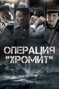 Операция «Хромит» (фильм, 2016)