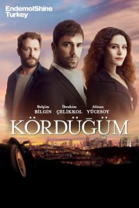 Узел 1-2 сезон (сериал, 2016)
