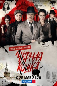 Чёрная кошка 1 сезон (сериал, 2016)