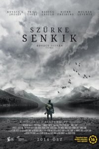 Серые посланцы (фильм, 2016)